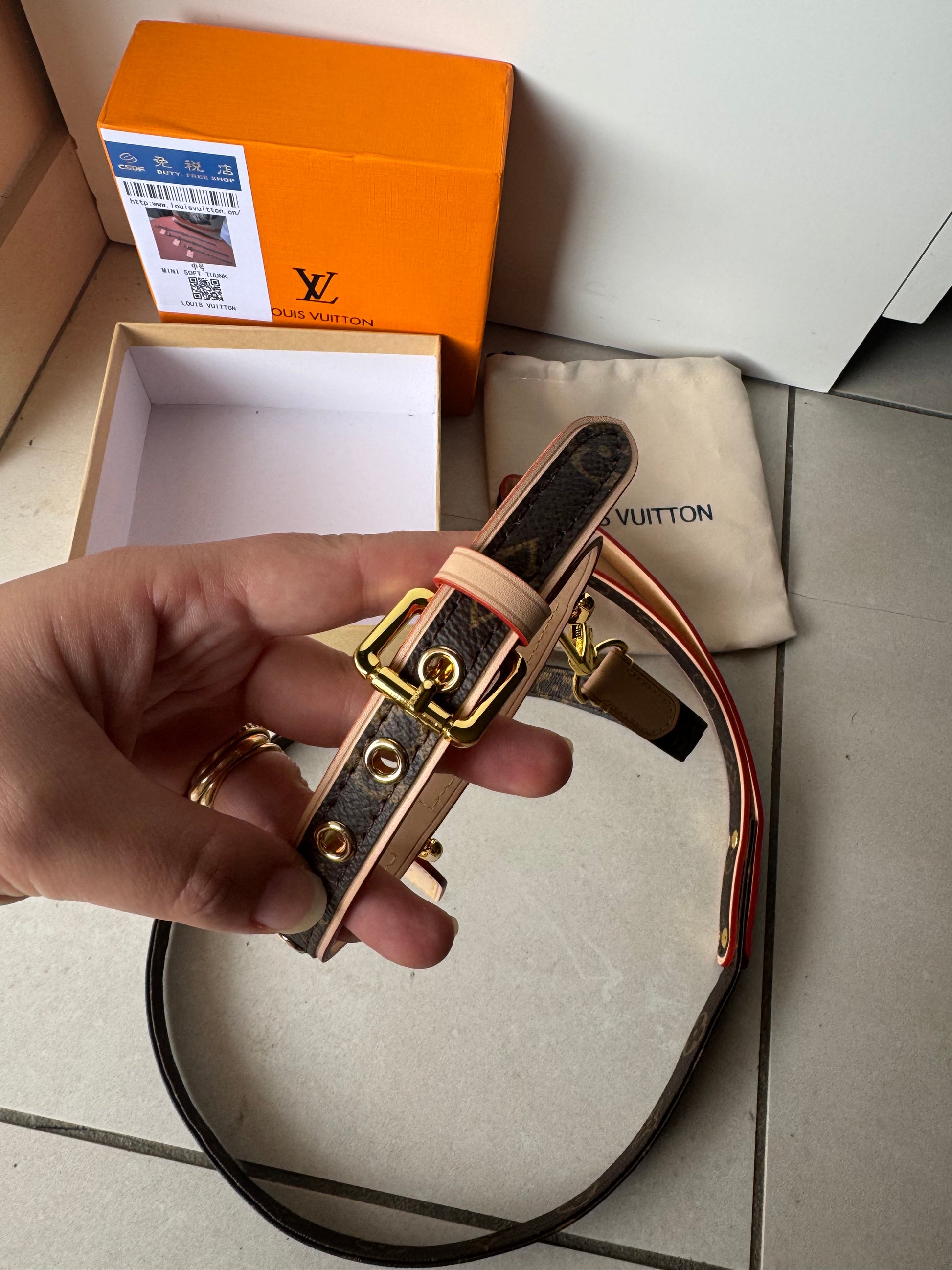 Collier + laisse pour chien