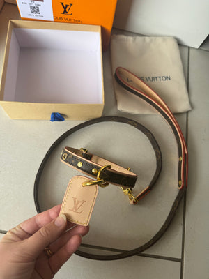 Collier + laisse pour chien