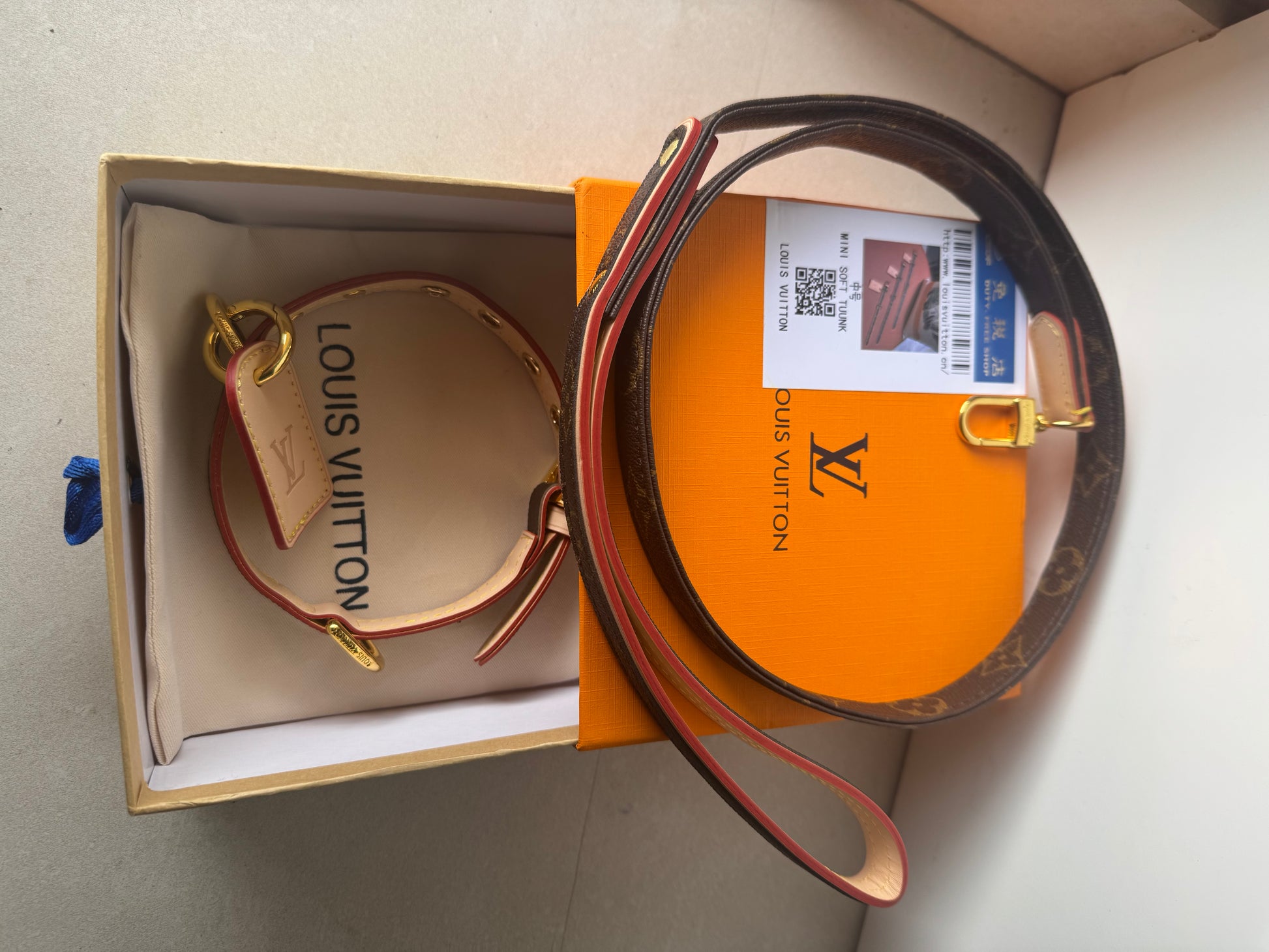 Collier + laisse pour chien