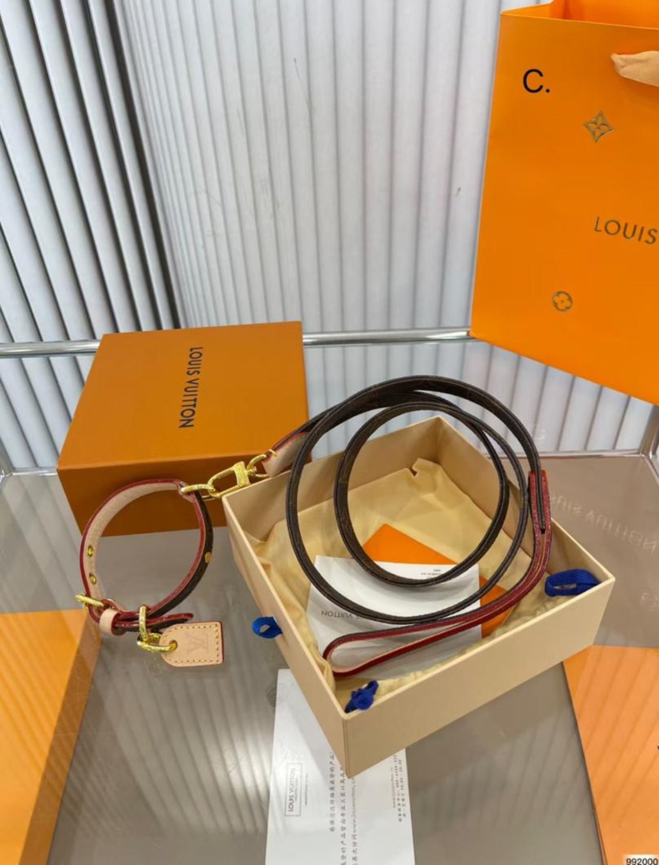 Collier + laisse pour chien