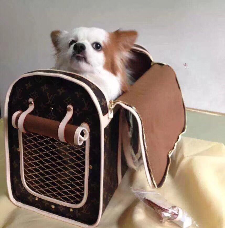 Sac pour chiot/chien